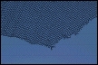 blue_net.CR.web.tif