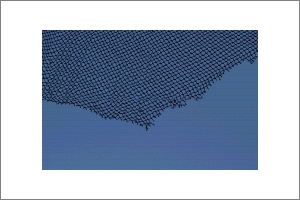 blue_net.CR_slide.tif