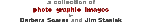 collection msg