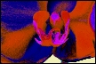 orchid_refuge.web.tif