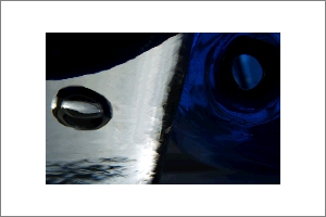 portal_slide.tif