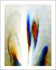 rainbow.2_slide.tif